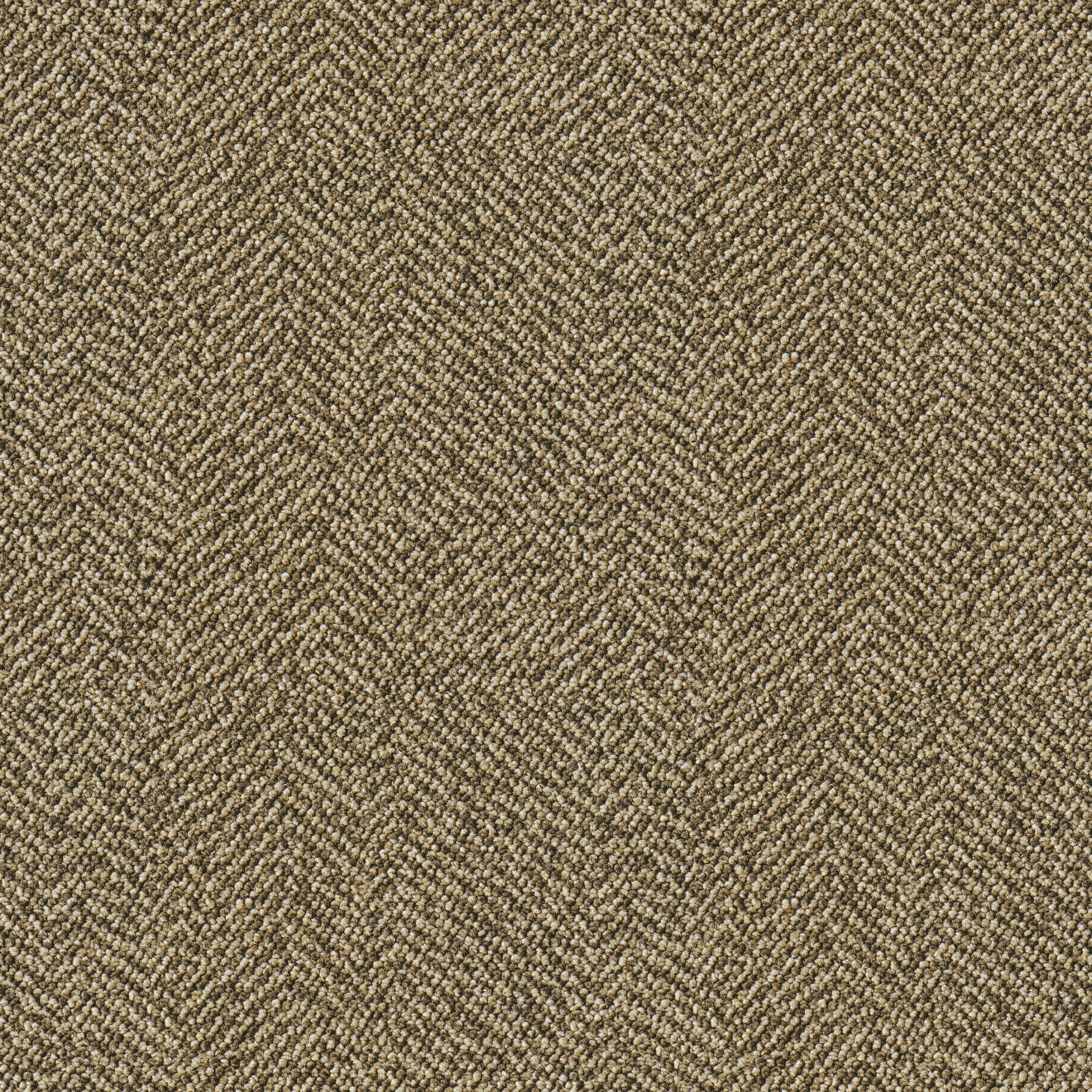 704 Sand