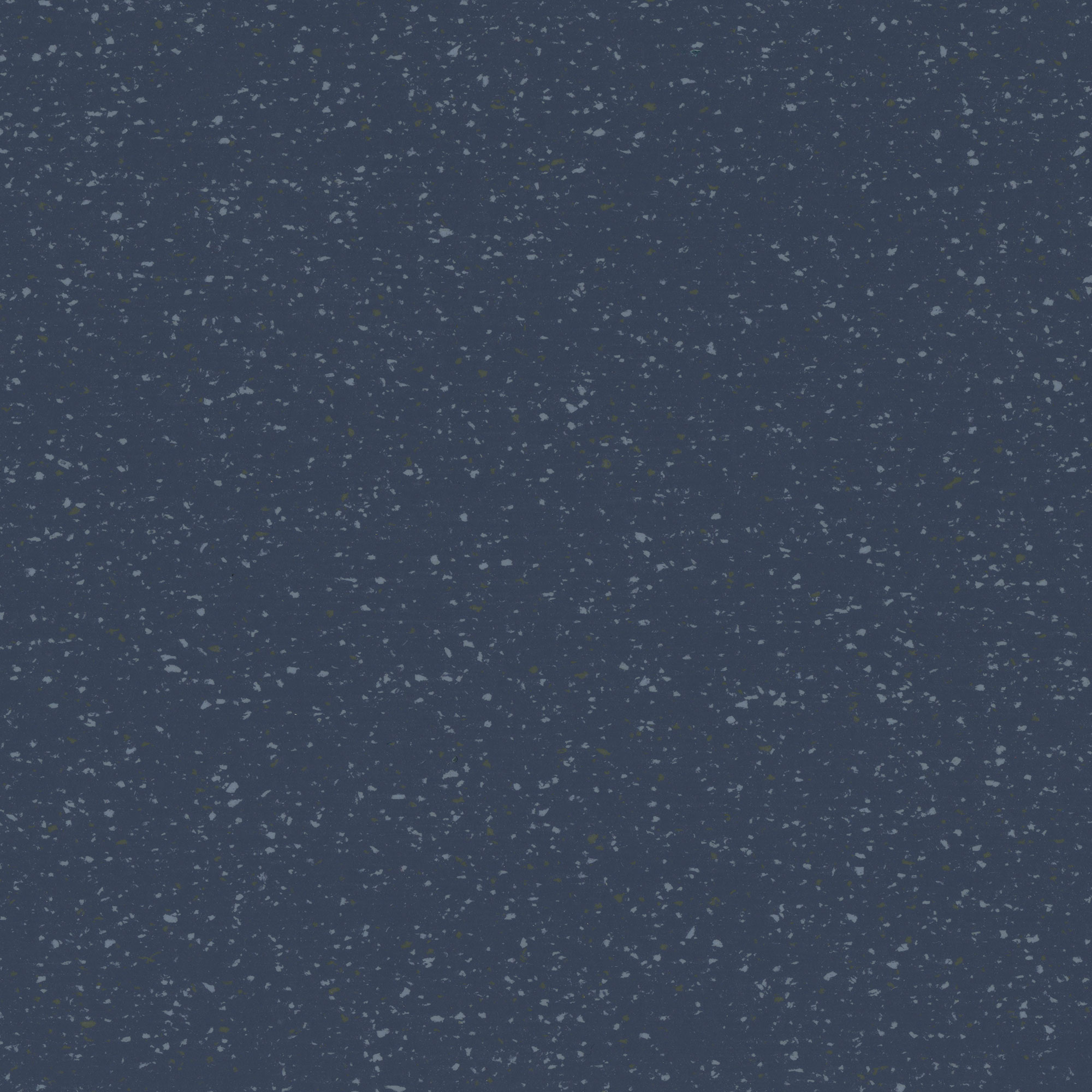 D05 Midnight