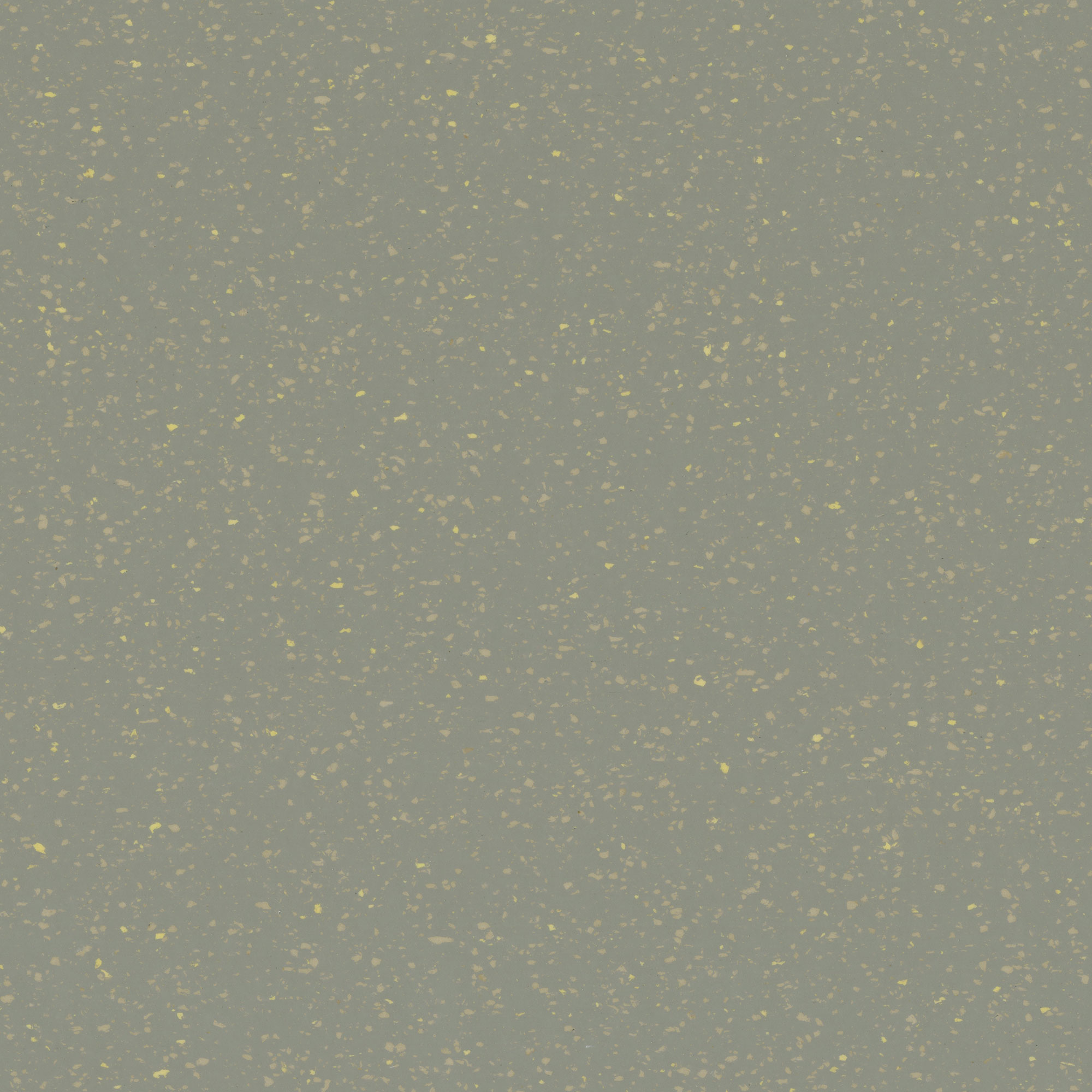 D15 Almond