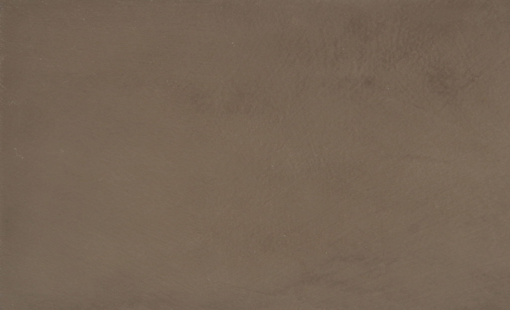 Brown 79