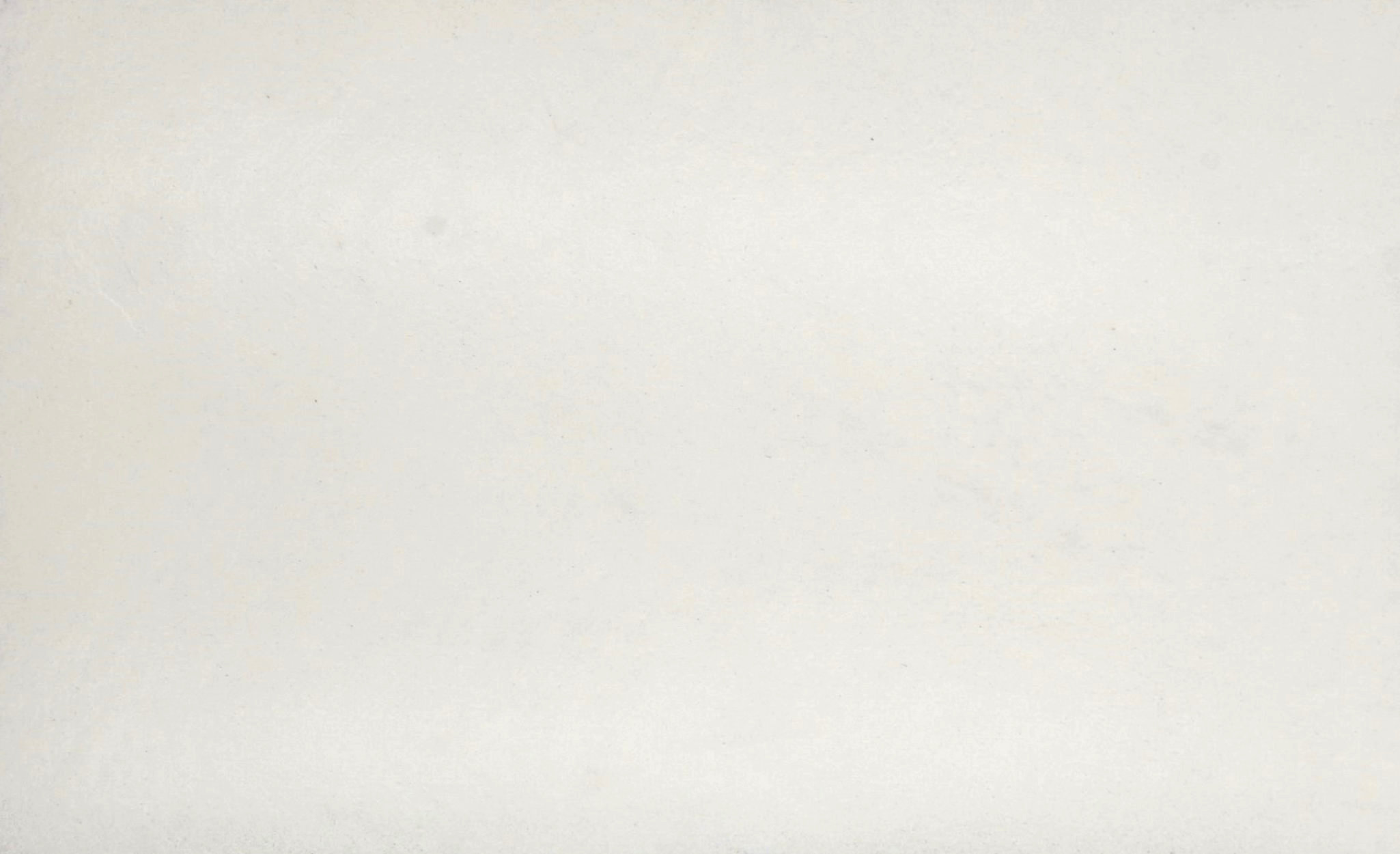 White 20