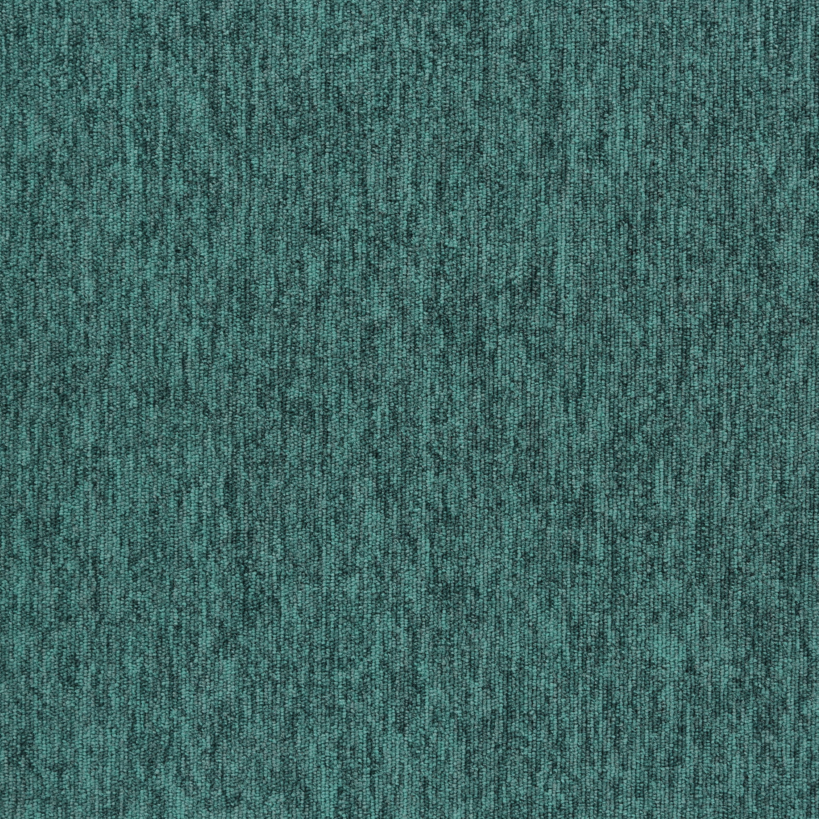 20267 Miami Aqua