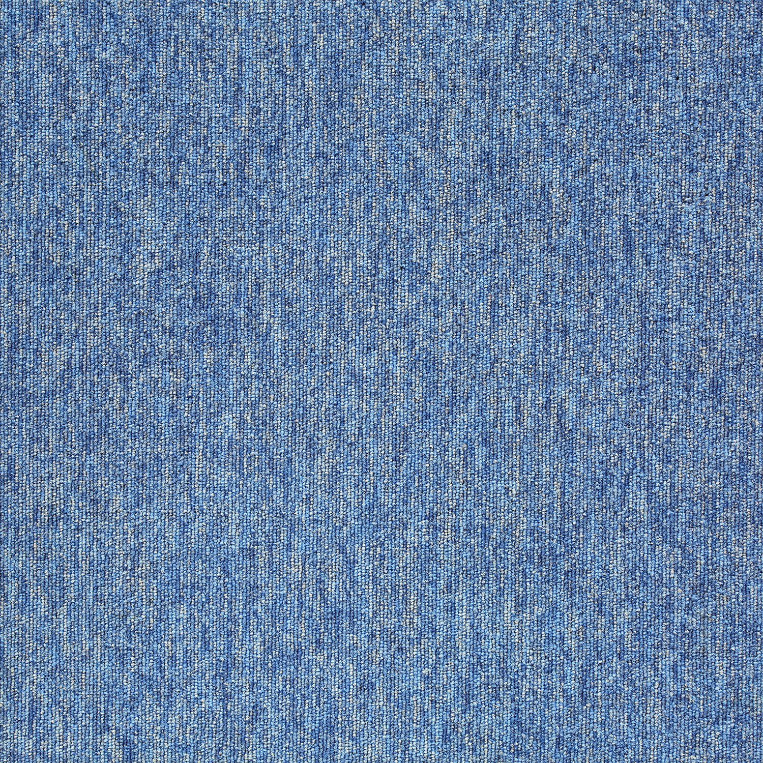 20281 Baltic Blue