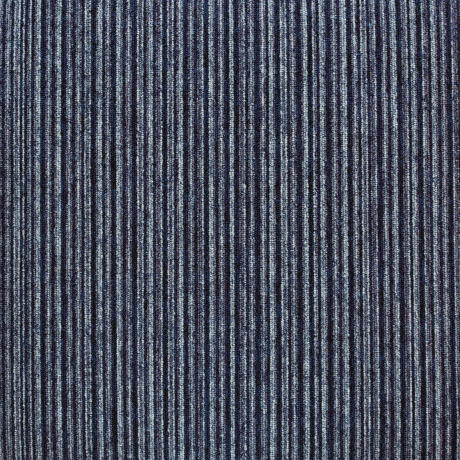 20717 Great Barrier Blue