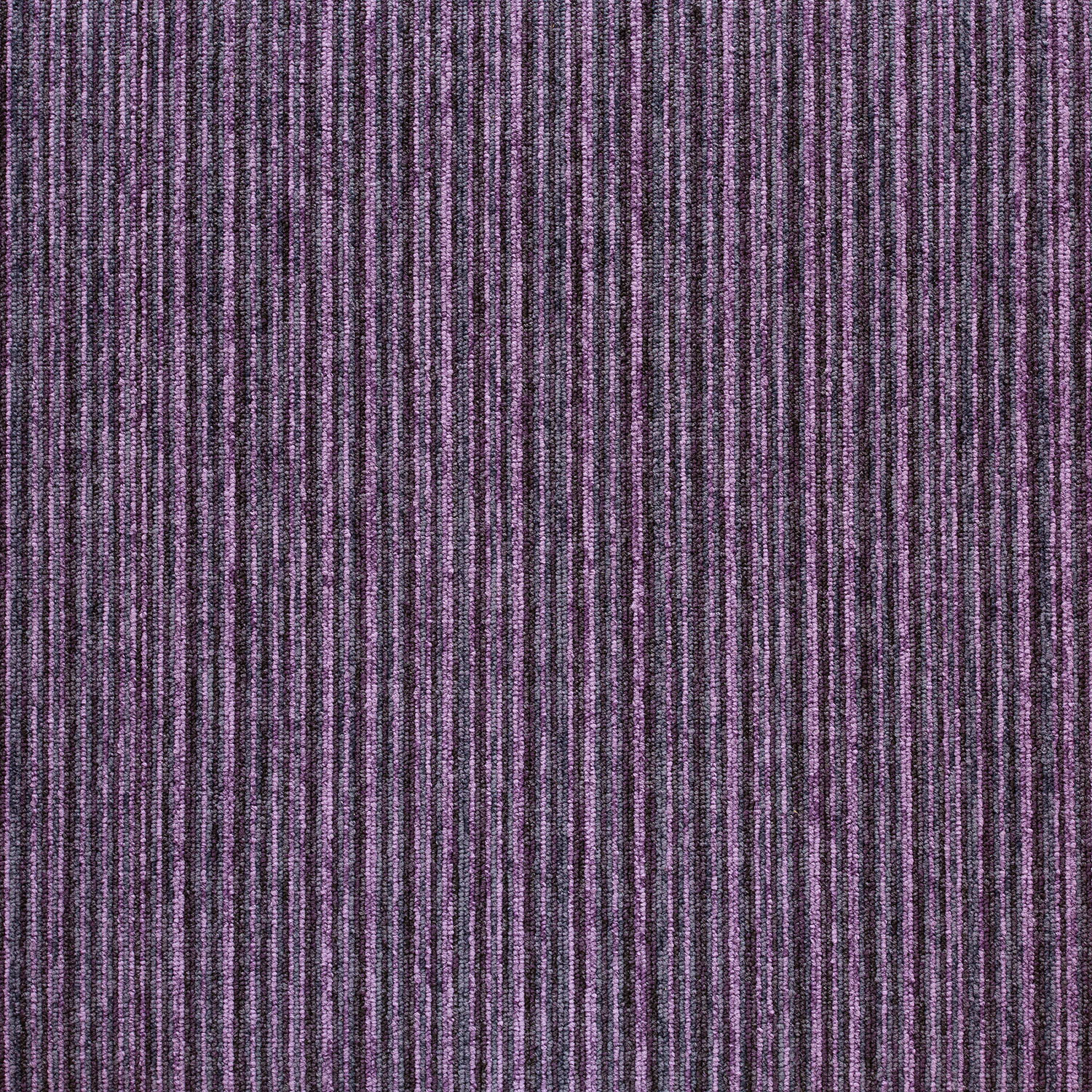 20714 Hawaiian Purple