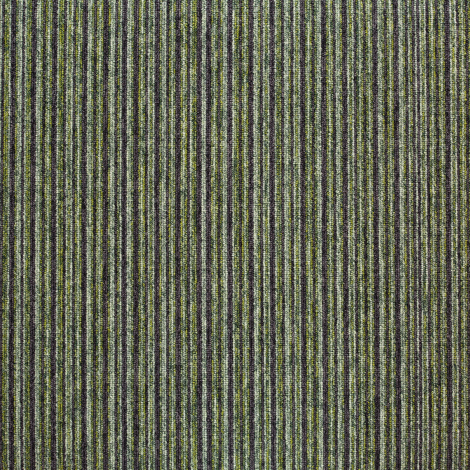 20715 Palm Green