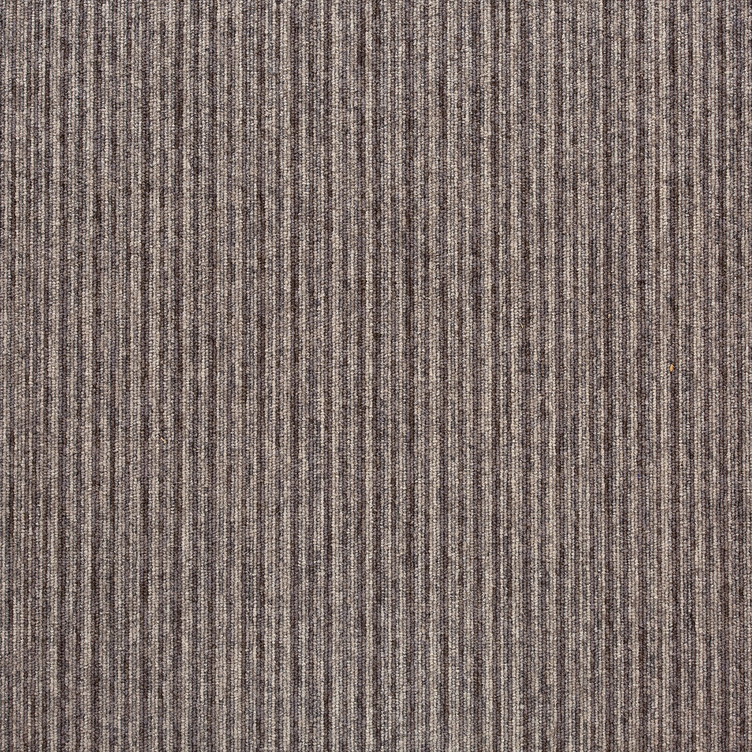 20711 Seychelles Beige