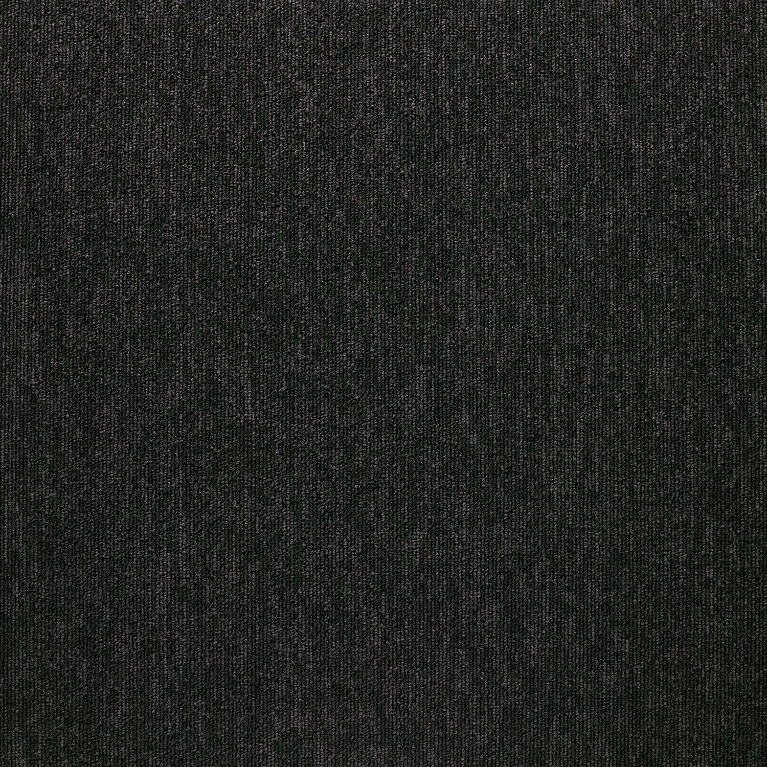20259 Montserrat Black