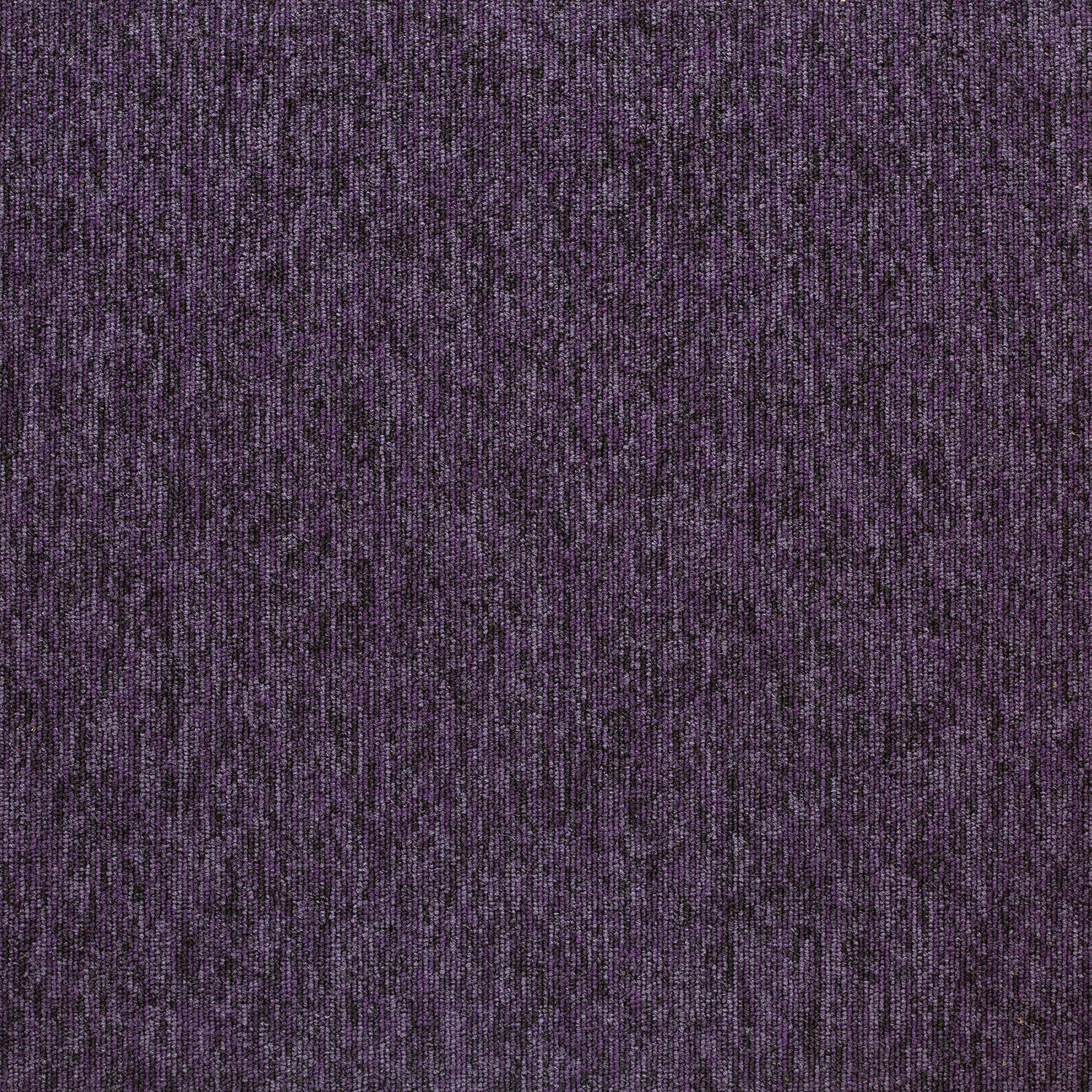 20270 Pinta Purple
