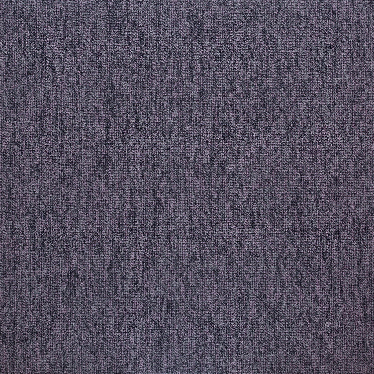20254 Puerto Rico Purple