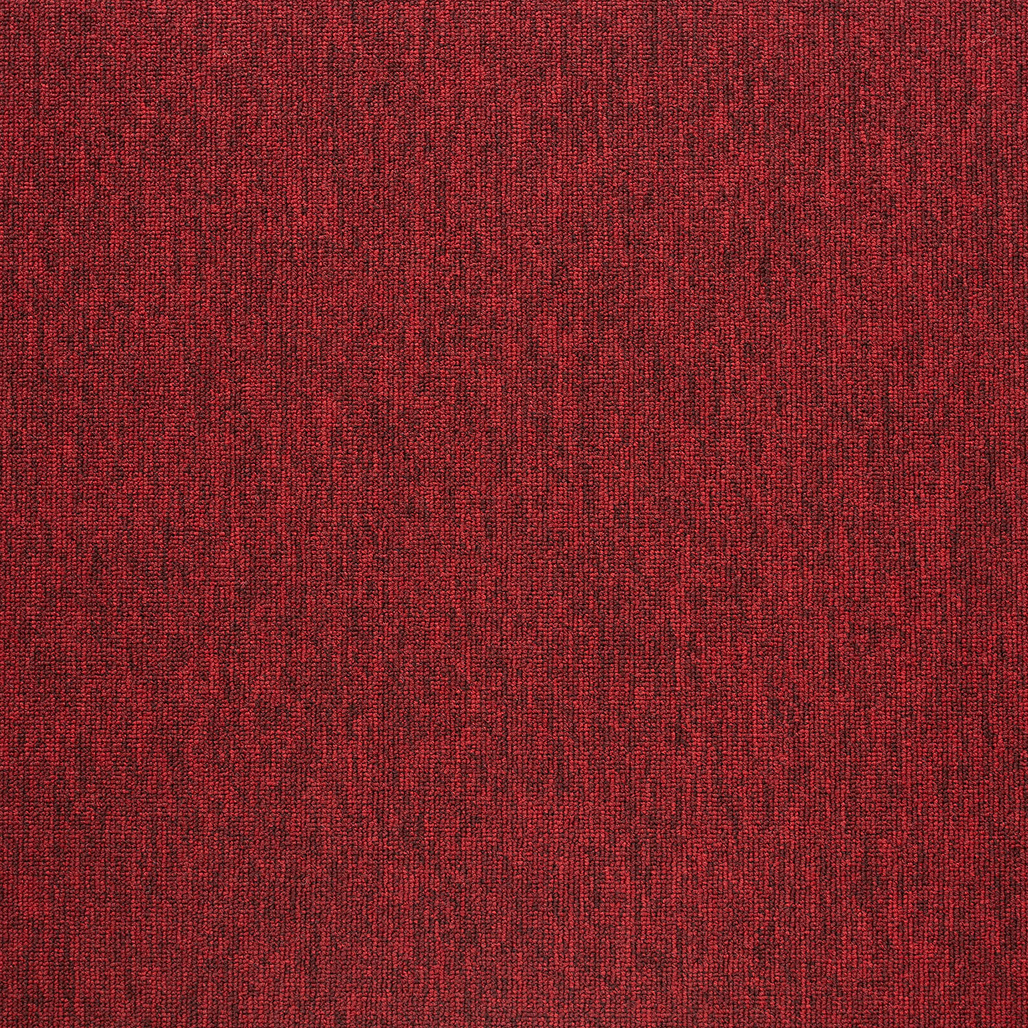 20273 Rio Red
