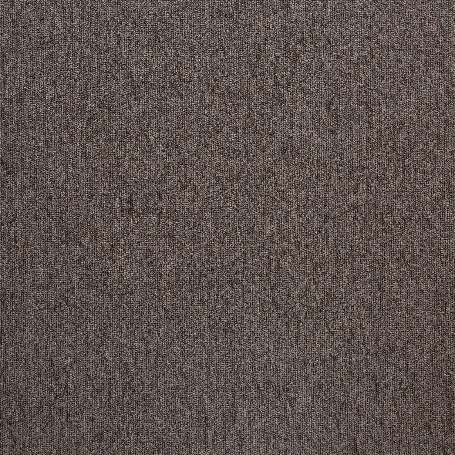 20213 Seranilla Stone