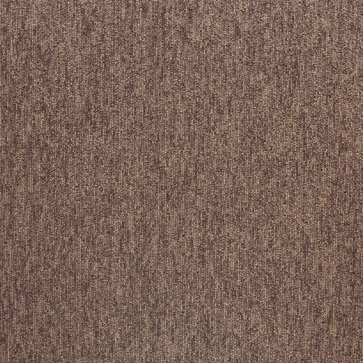 20284 Tasmanian Rock