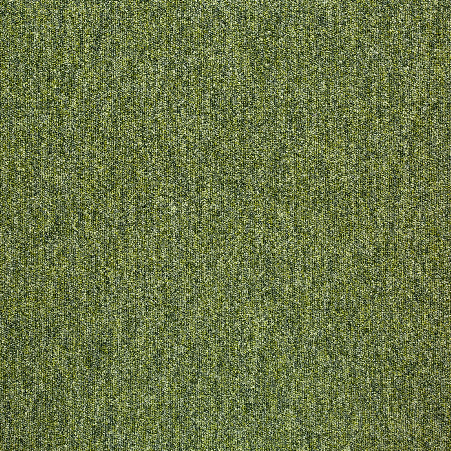 Tivoli sd acc 25x100 cm
