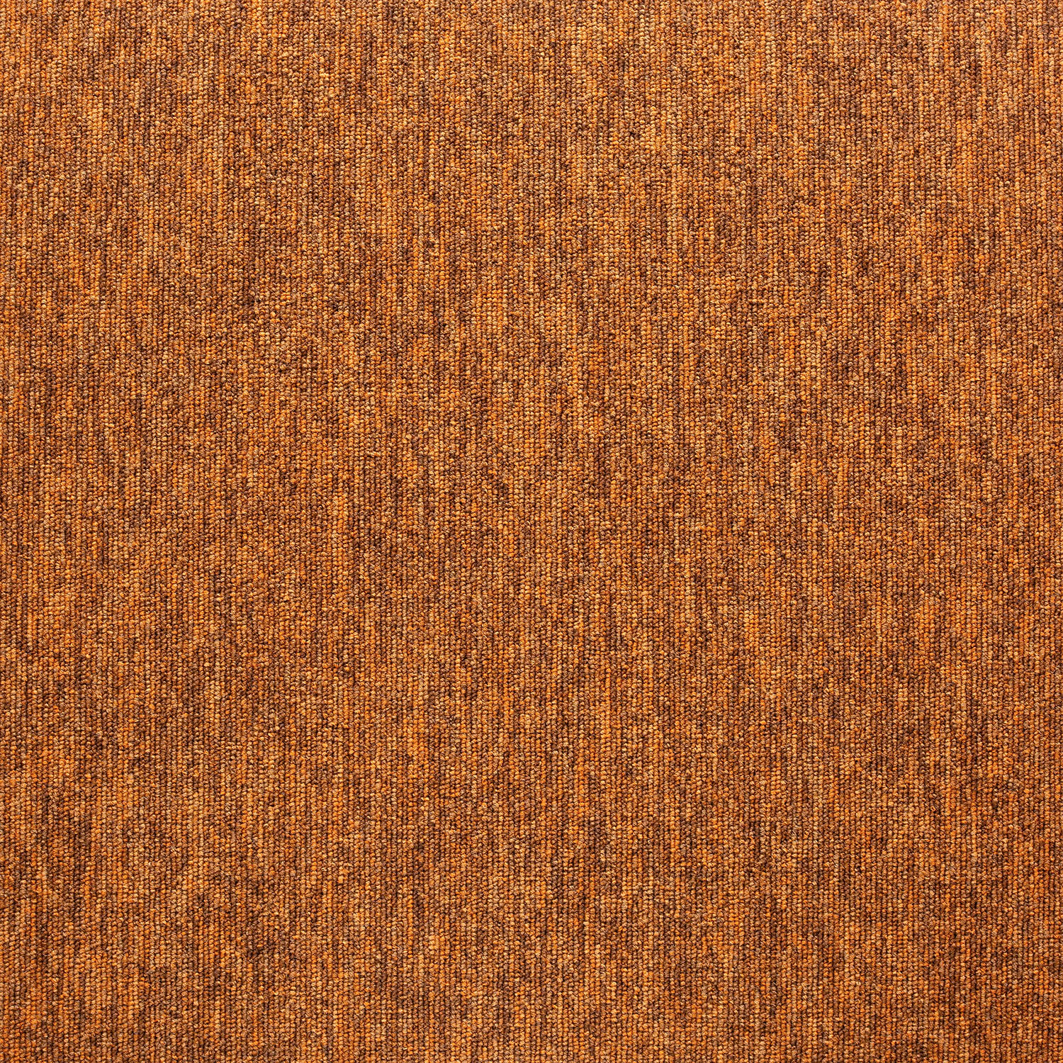 21179 Madagascan Orange