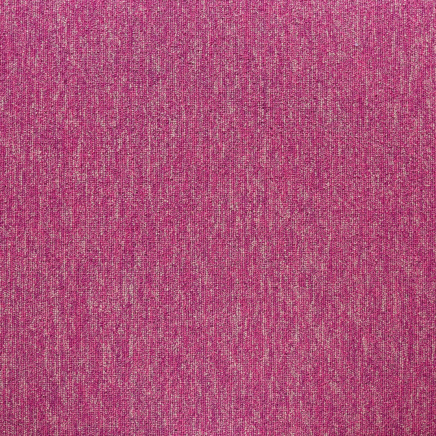 21177 Pink Paradise