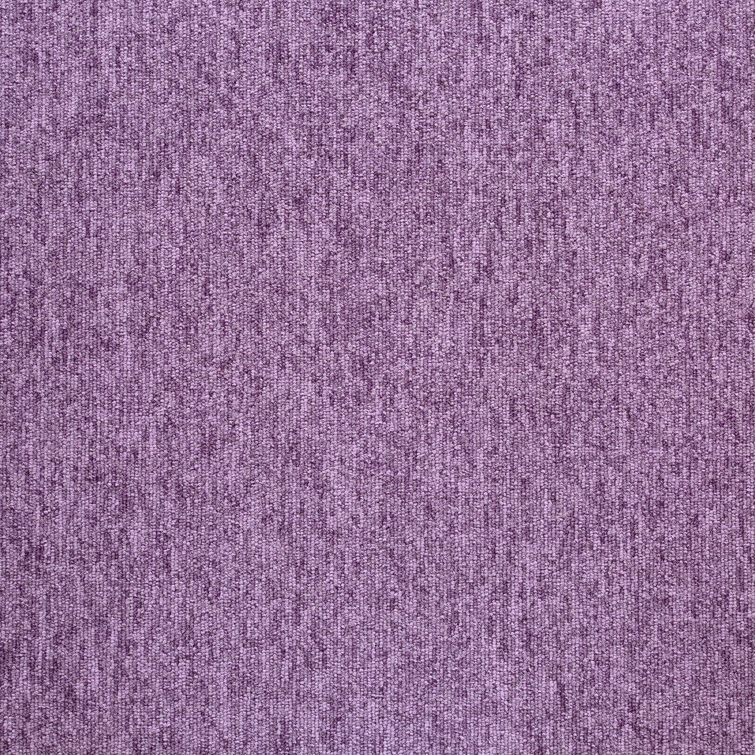21176 Tropic Purple