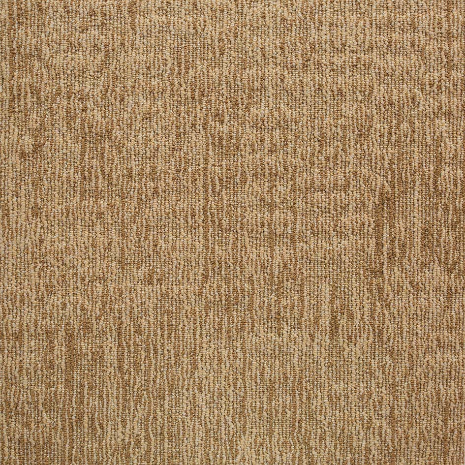 22215 Maple