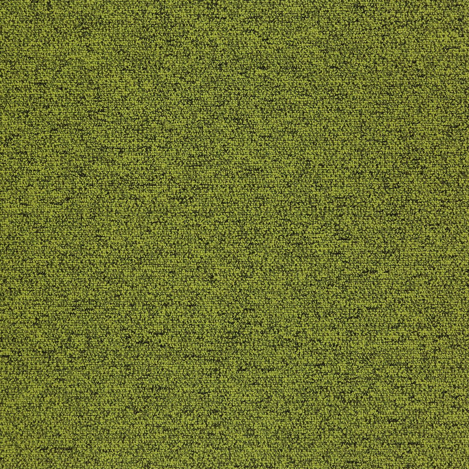 22106 Fern
