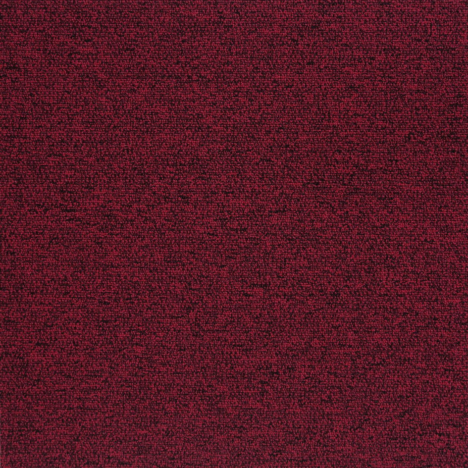 22107 Fuchsia