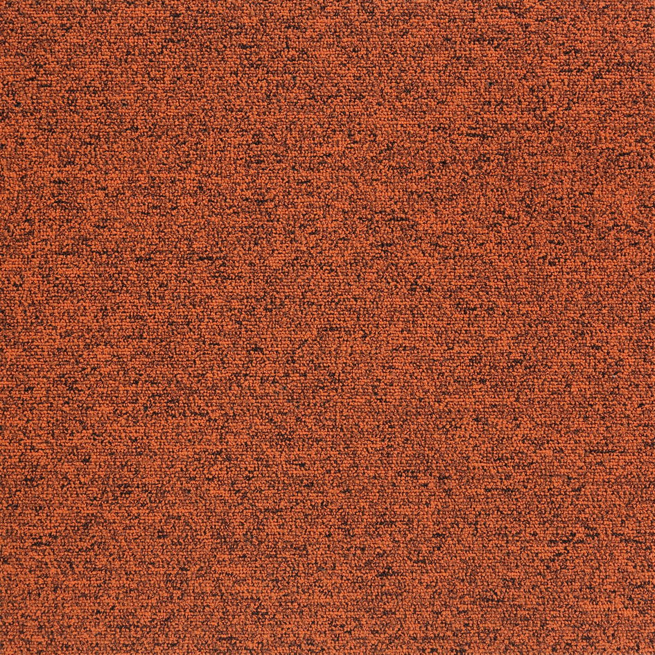 22110 Amber