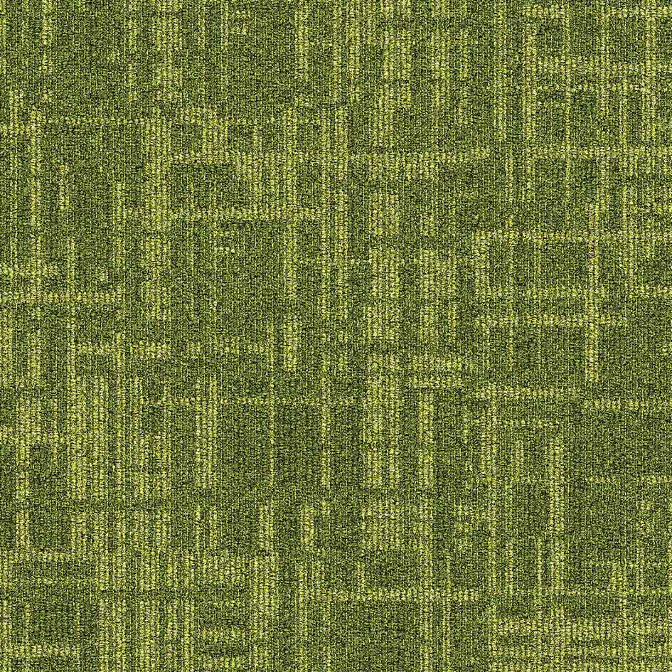 35413 Highline Moss
