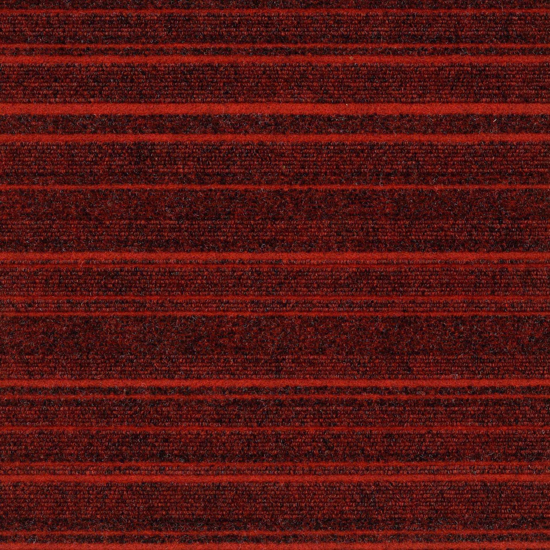 12904 Scarlet Fever