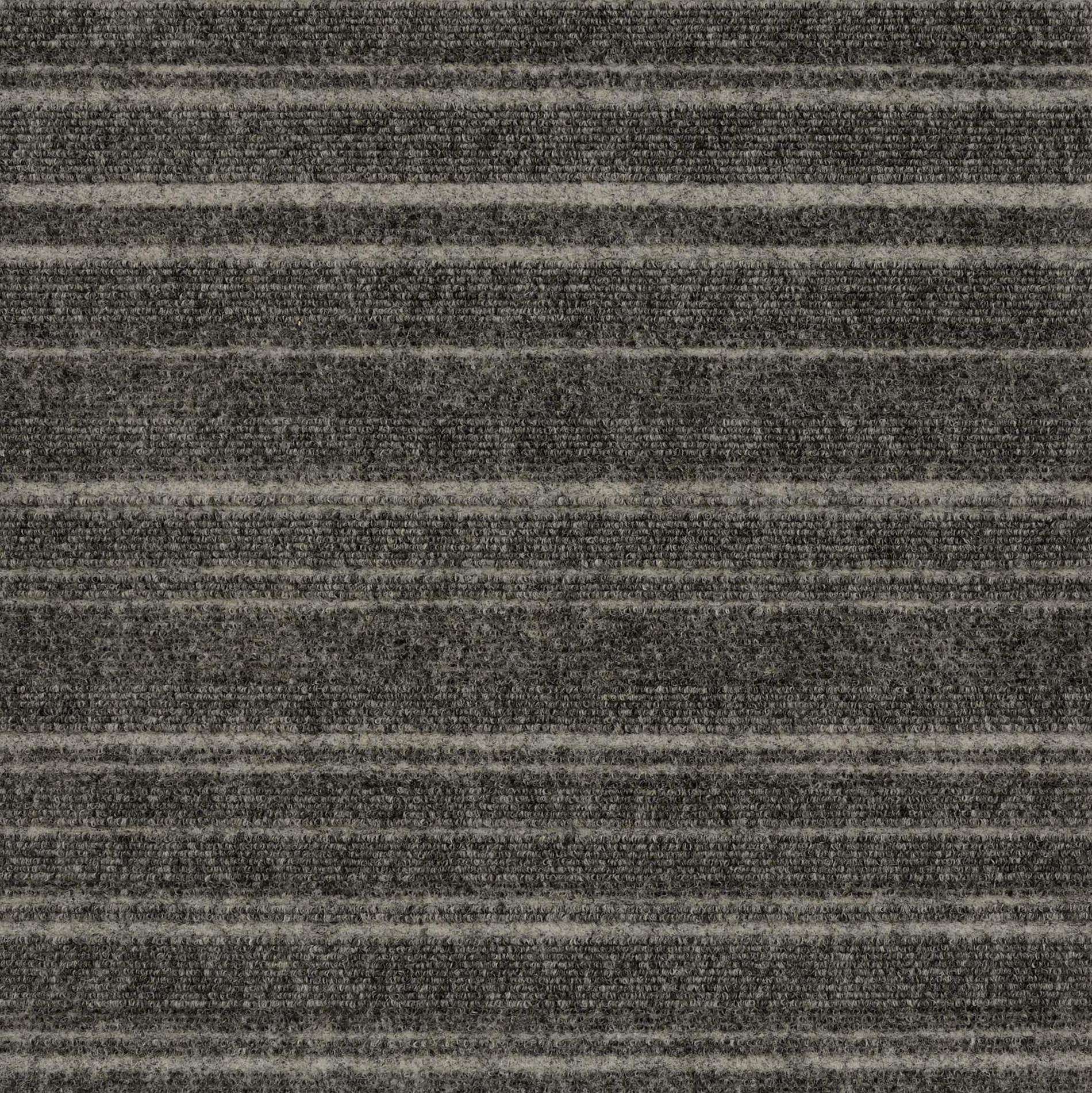 12926 Pewter Track