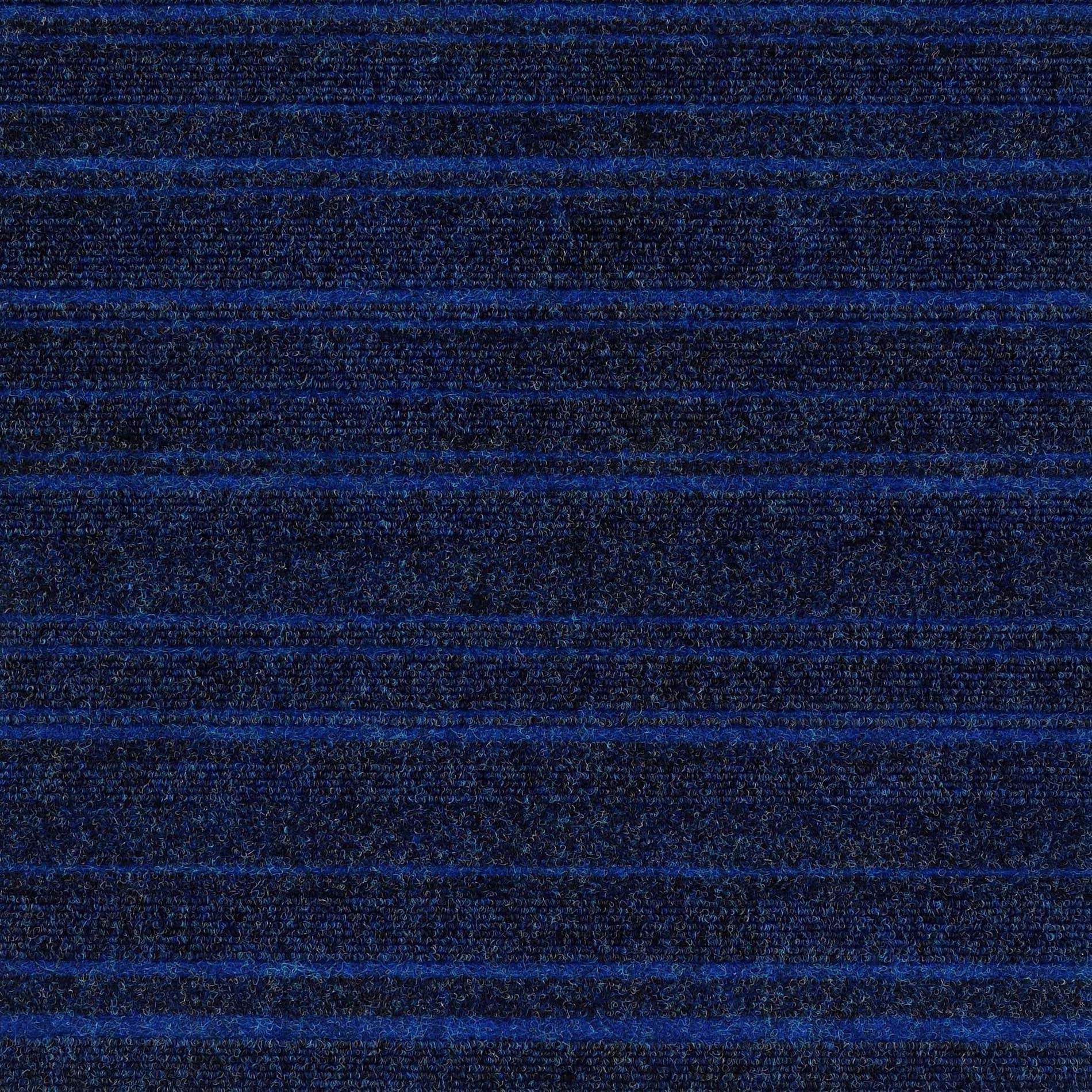 12927 Blue Reef
