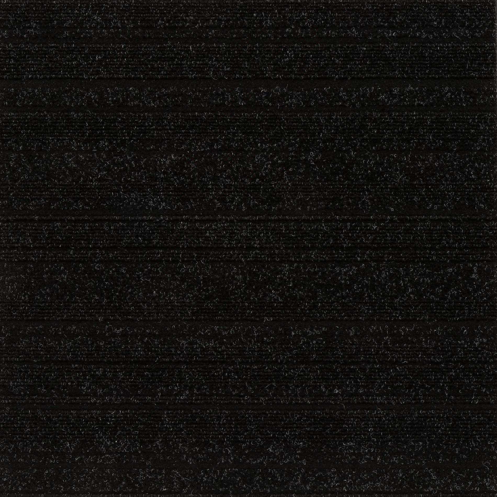 12929 Pitch Black