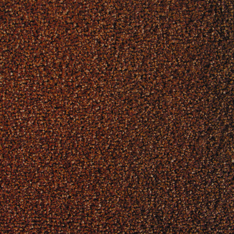 305240 Tawny Brown