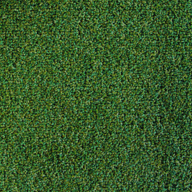 305720 Neptune Green