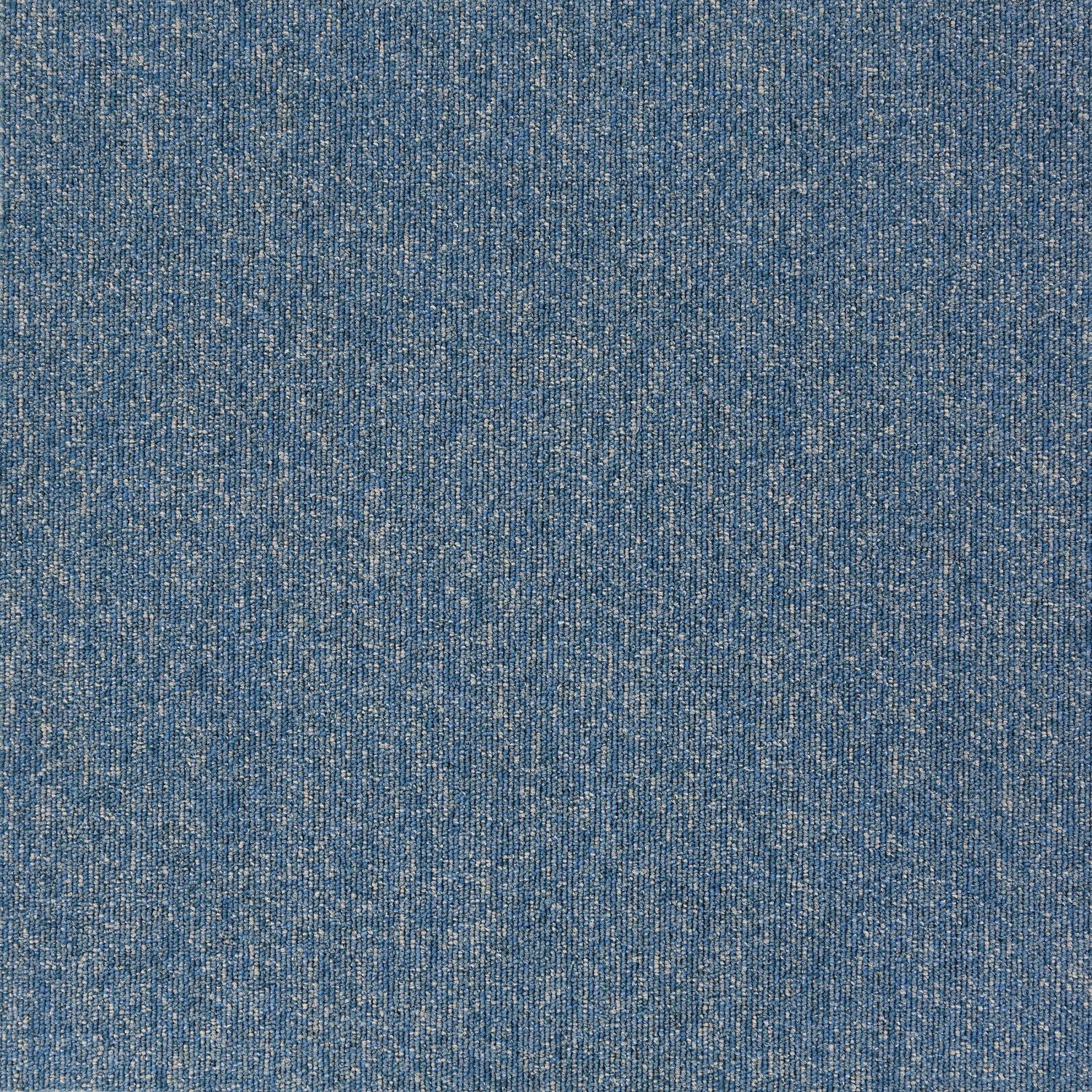 21810 Sky Blue
