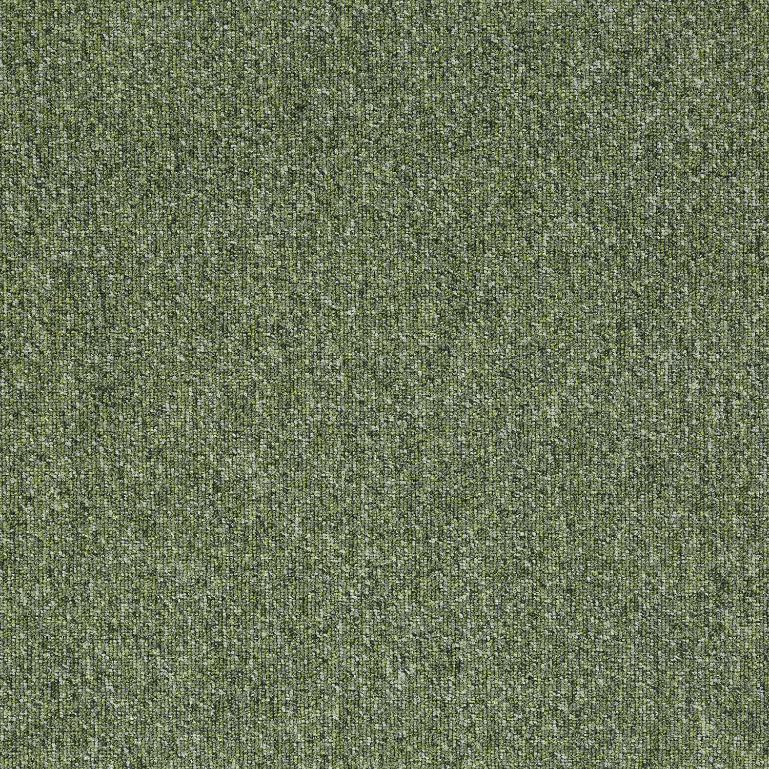 21818 Moss Green