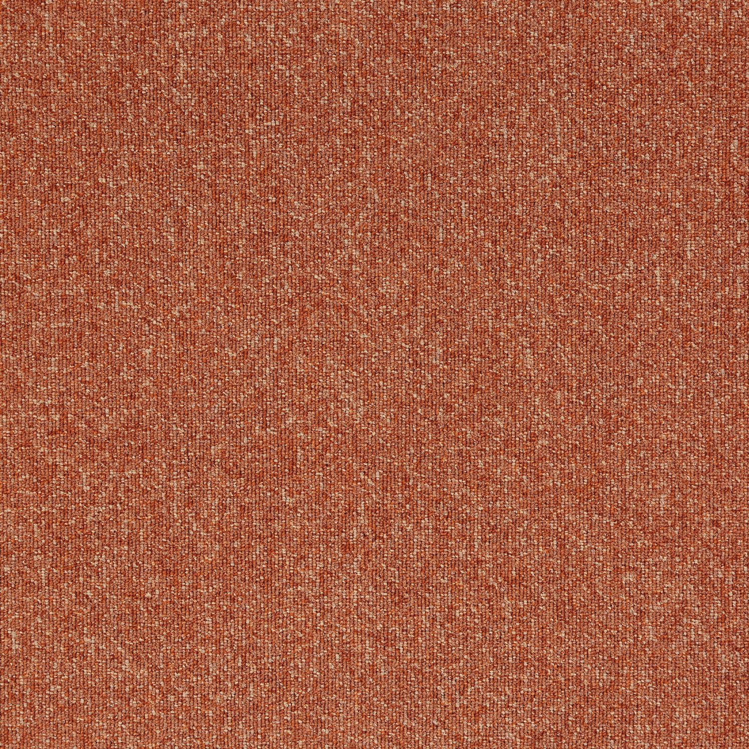 21819 Orange