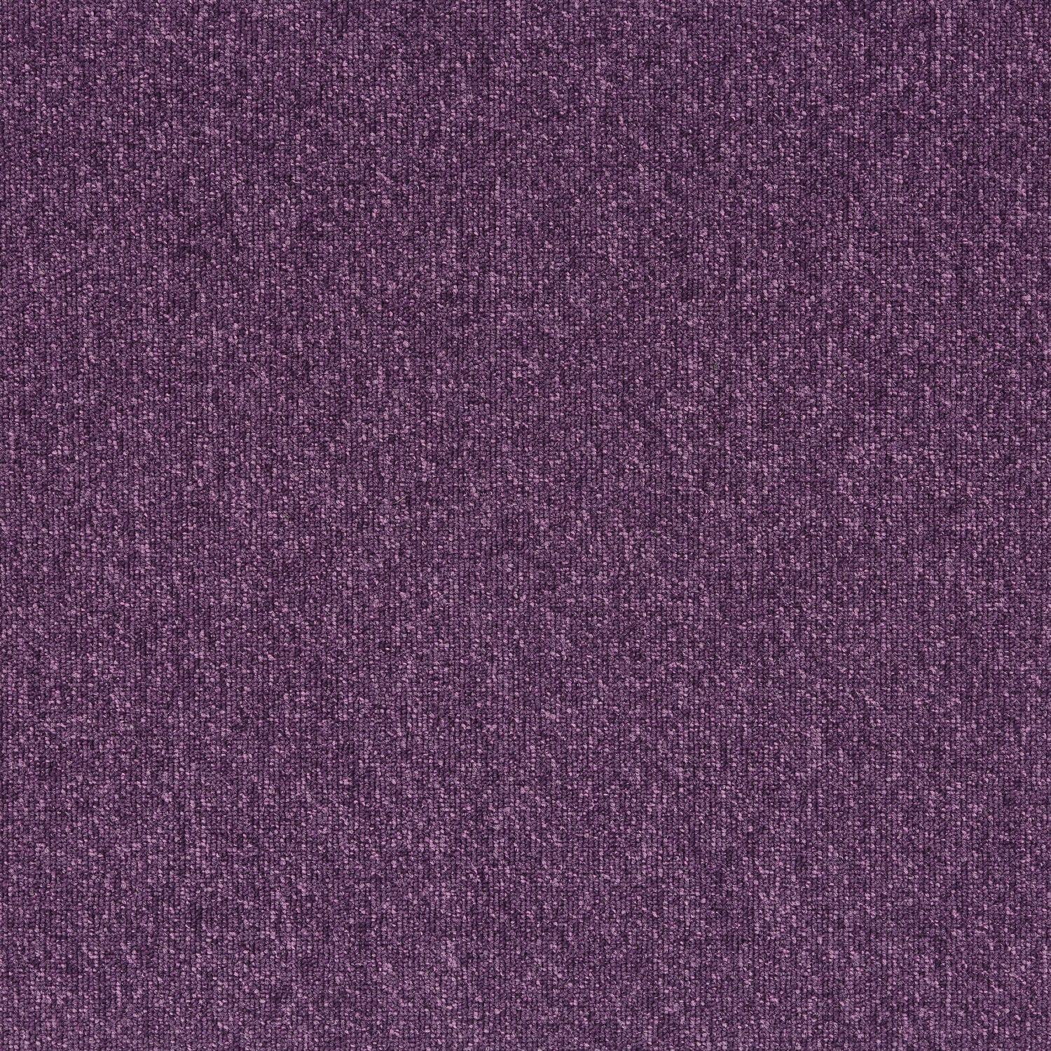21821 Purple