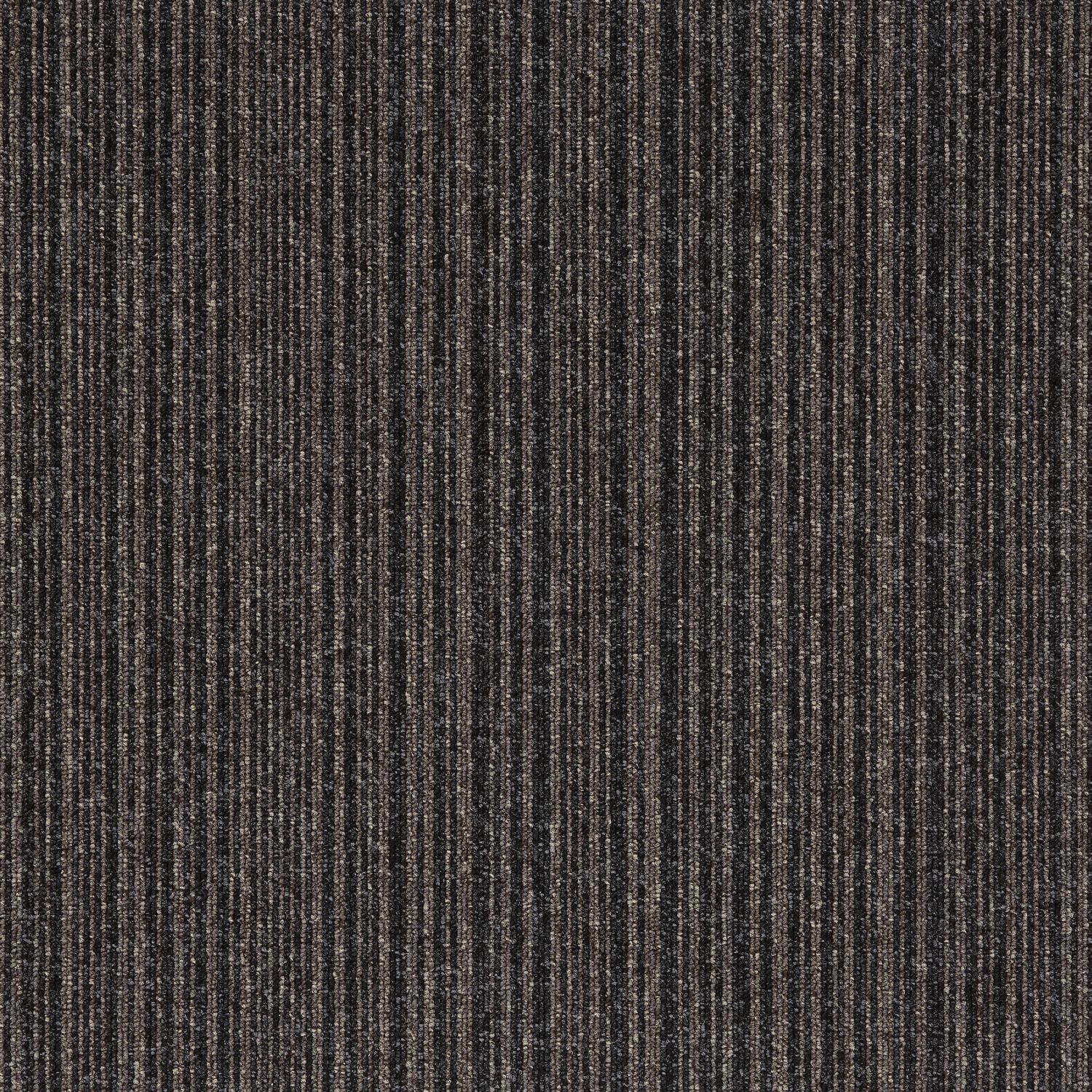 21915 Dark Beige Stripe