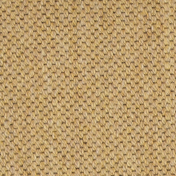 865 Apricot