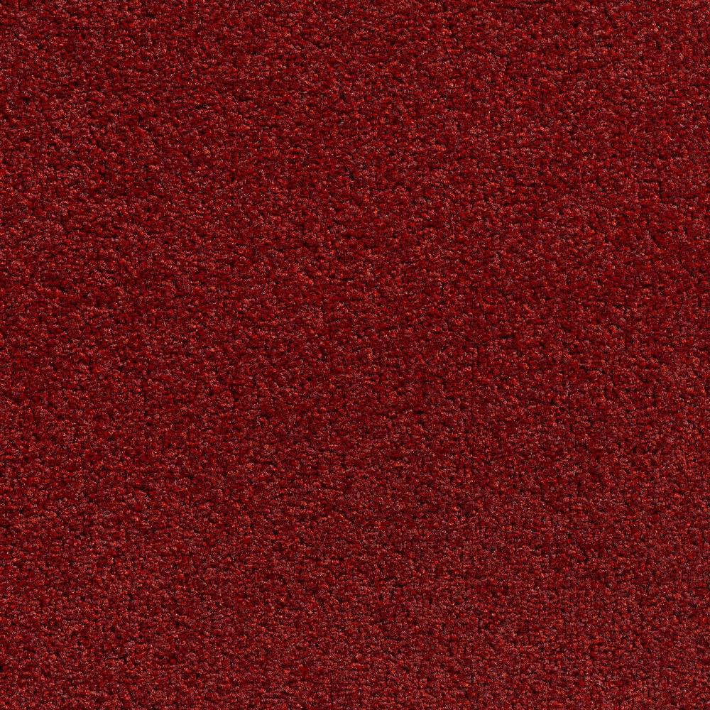 230