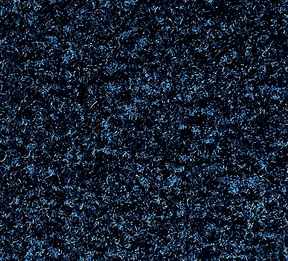 303