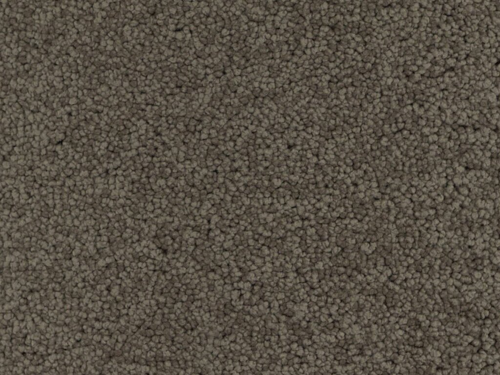 Kashmir ltx 200