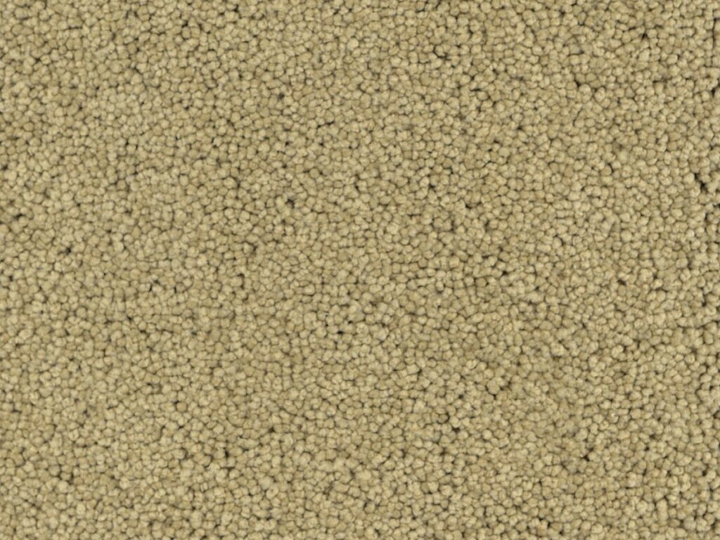 091028-081
