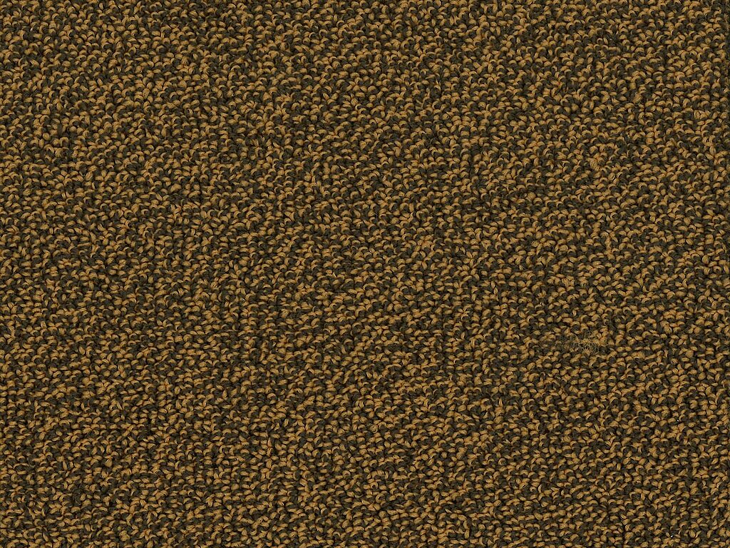 000010-204
