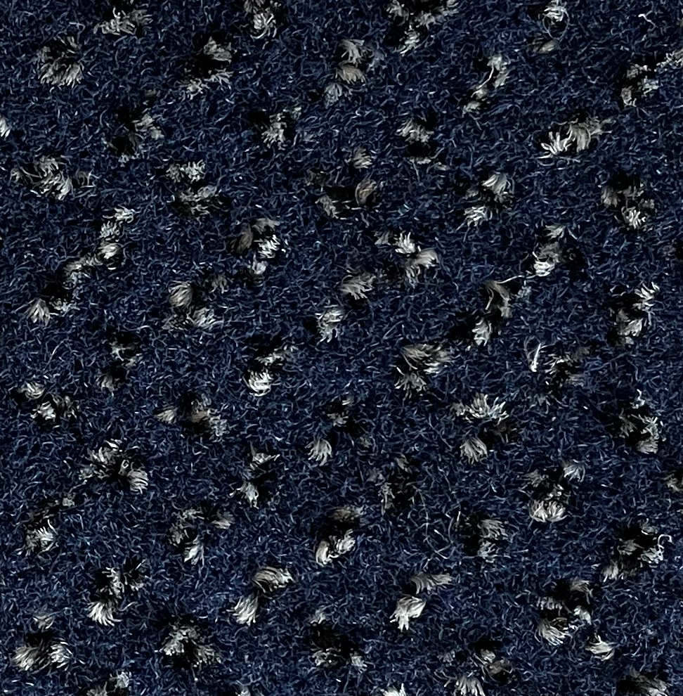 81