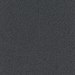 504