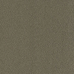 801
