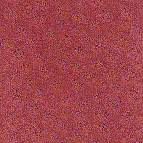 000010-106