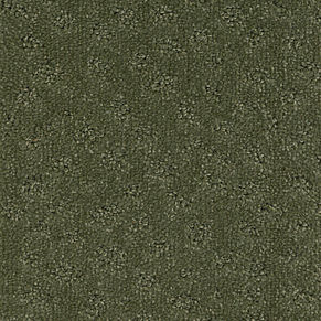 000010-405