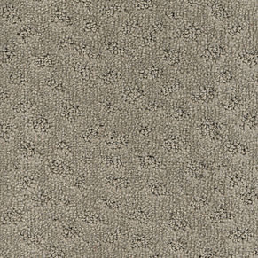 000010-806