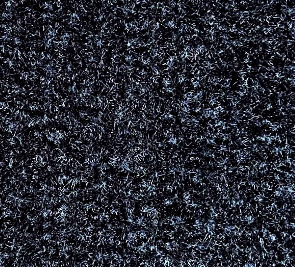 000010-304